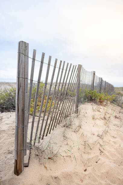 istock Wind and Sun Worn Sand Fence 2174767441