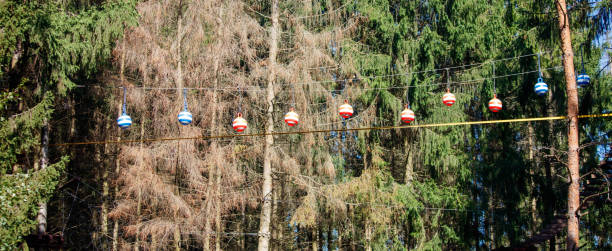 A line of Christmas ornaments hanging from a wire. The ornaments are red and blue