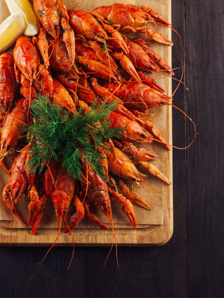 colorful live crayfish for  with red tentacles in aquarium