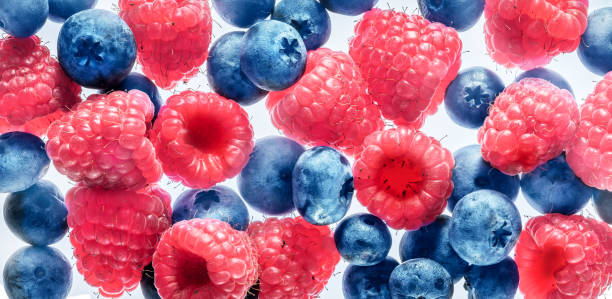 istock Fresh Blueberries and Raspberries Delightfully Arranged on a Bright and Cheerful Background 2174778664