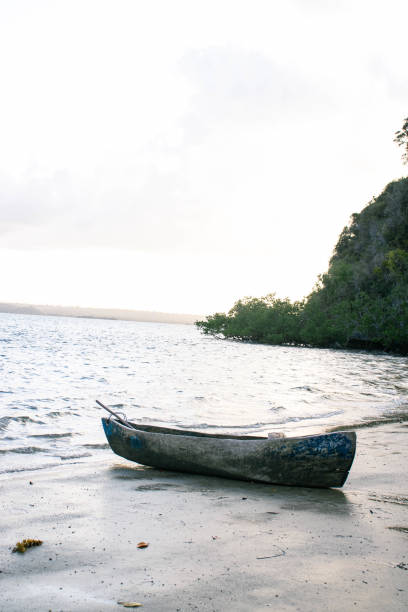 istock A wooden canoe on the beach at sunrise 2174784797