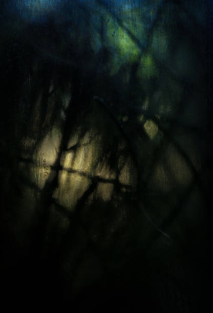 istock Abstract of plant behind mirror 2174786333
