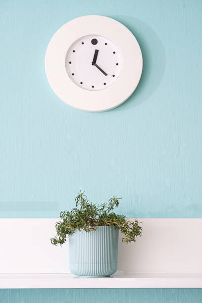 istock Clock on turquoise wall with plant on white shelf beneath it. 2174791267