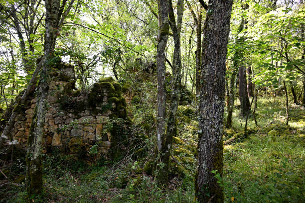 istock Remains of an old stone building 2174794908