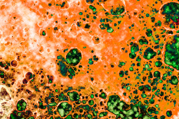 High-quality modern abstract painting rendered with alcohol ink and colorful abstract modern art painting background.