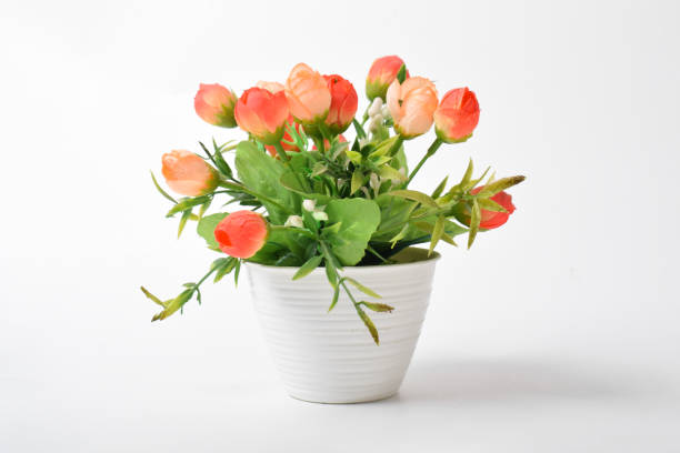 Front view of beautiful artificial tulips in pot isolated on white background. House plant