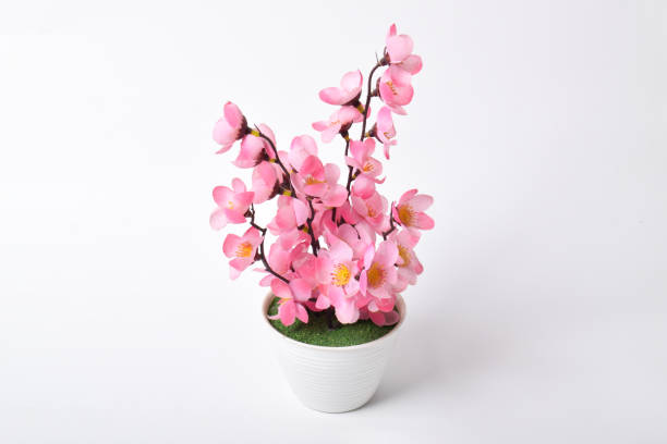 istock Decorative cherry blossoms in pot. Artificial pink flowers 2174834329