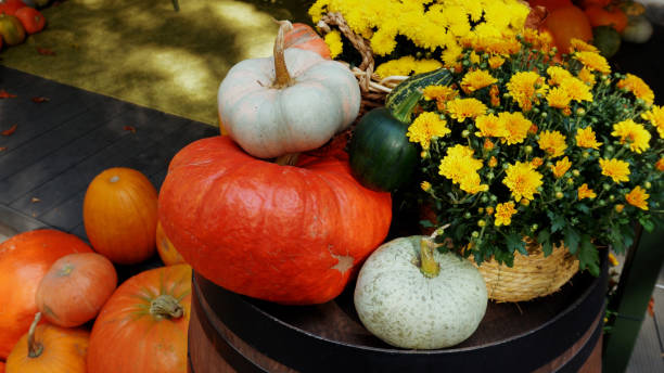 istock set of decorative pumpkins 2174836992