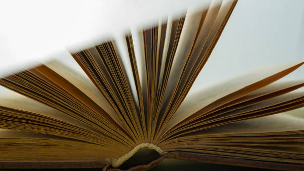 istock Open pages of an old book on a light background. 2174837365