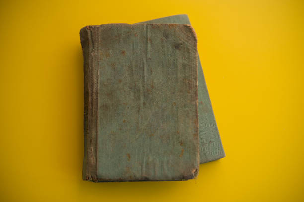 Old Vintage Blank Open Book