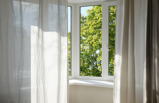istock View from the window on the garden green trees . 2174844843