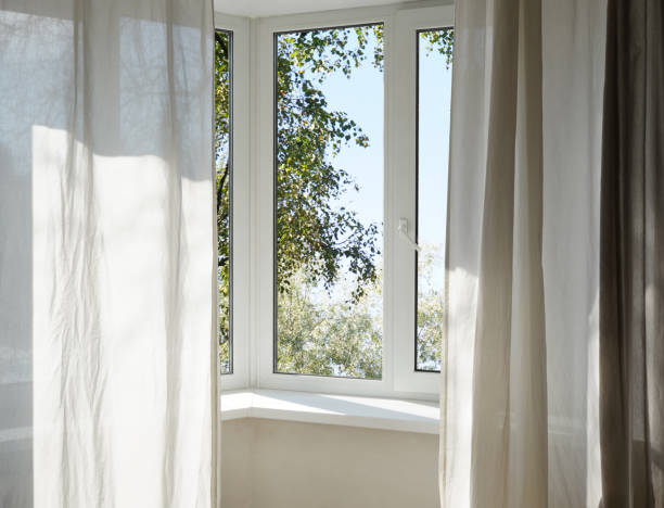 istock View from the window on the garden green trees . 2174844851