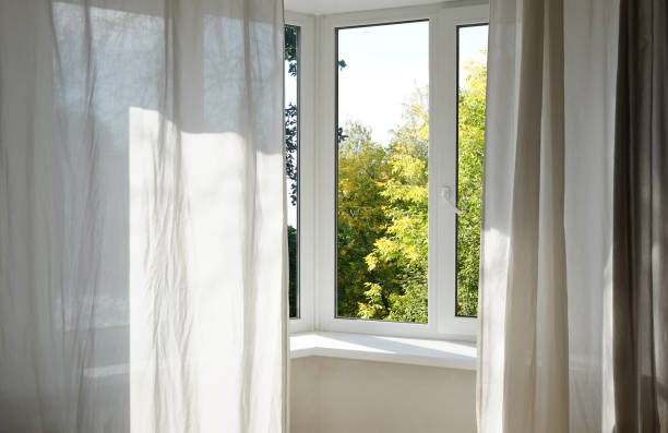 istock View from the window on the garden green trees . 2174845155