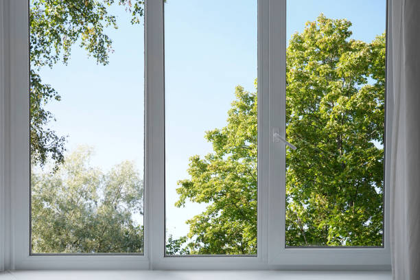istock View from the window on the garden green trees . 2174845163