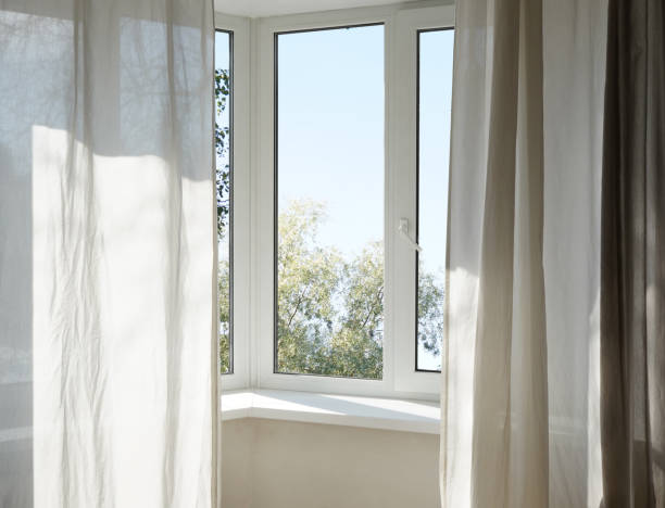istock View from the window on the garden green trees . 2174845281
