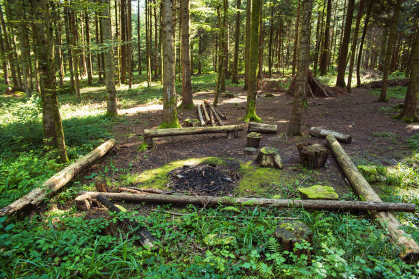 Empty campfire site in a forest in Europe with tree logs as benches and bonfire place in the middle, no people.