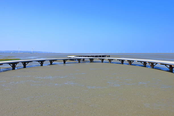 Crab Watching Boardwalk, a wooden boardwalk extending over a wetland area, at Zhonghua Rd, Xiangshan District, Hsinchu, Taiwan
