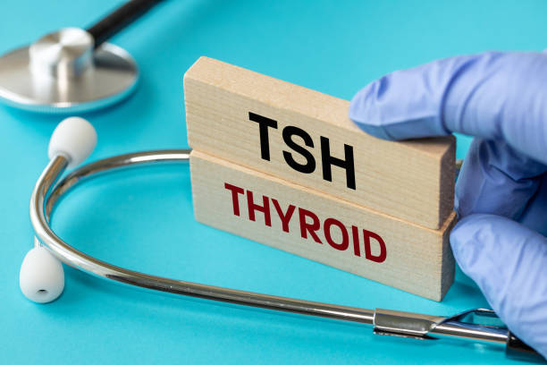 istock thyroid, hormones, tsh, health concept, endocrine glands study, human endocrine system, energy balance, metabolism regulation, hyperthyroidism and hypothyroidism, Medical concept 2174851717