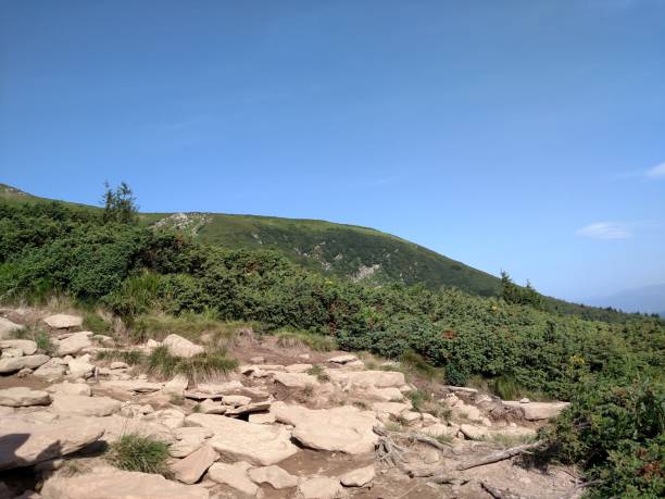 istock Mountain landscape and forest horizontal color photo image 2174857933