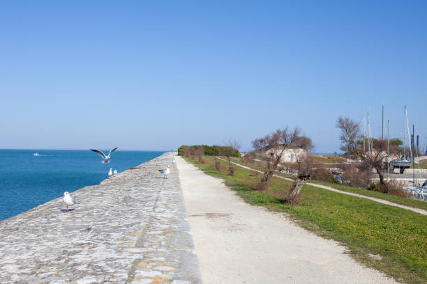 istock Seagulls walking on a stone and concrete wall separating road from the sea. Dreamy, summer photo with blue skies and blue sea. 2174873878