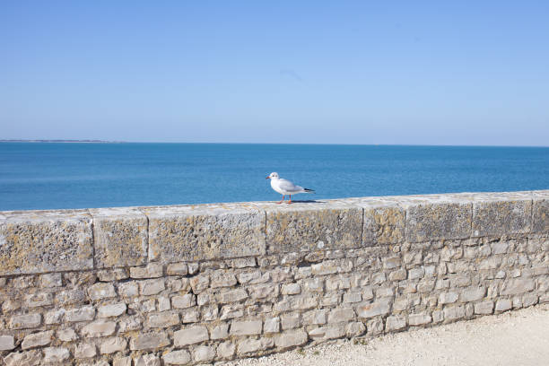 Holiday feeling, peaceful, poster like.