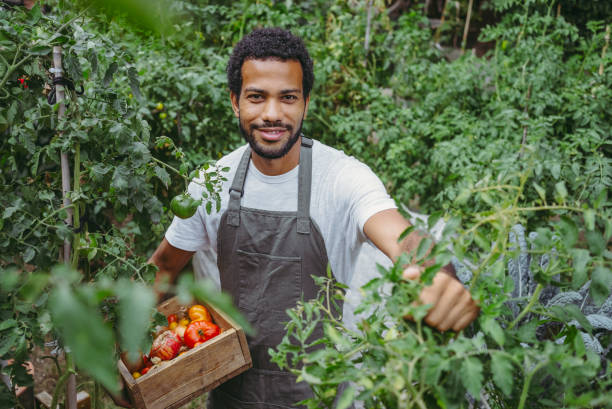 istock Smiling Diverse Gardener with Organic Harvest 2174874959