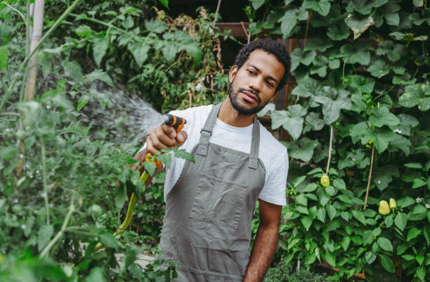 istock Diverse Male Gardener Tending to Organic Plants 2174874969