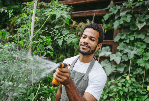 istock Sustainable Gardening by a Cheerful Mixed Race Man 2174874970