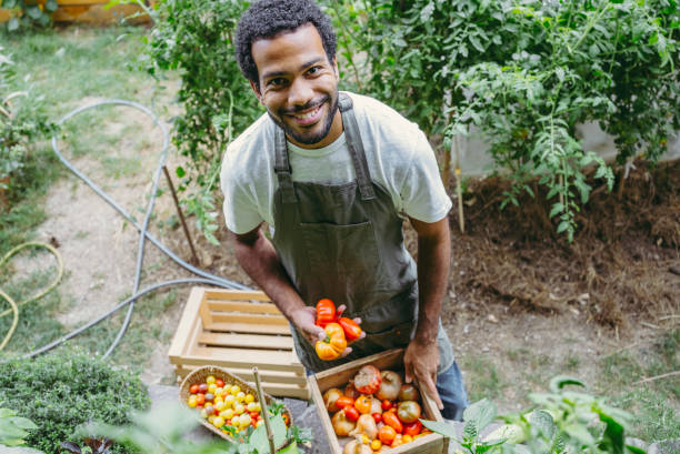 istock Diverse Male Gardener with Fresh Harvest 2174874976