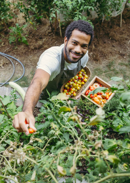 istock Joyful Diverse Gardener in Organic Garden 2174875014