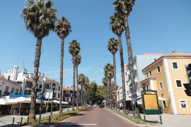A sunny day in Cascais, Portugal, along a charming palm-lined avenue. The vibrant facades of local buildings and the clear blue sky create a picturesque scene, showcasing the laid-back atmosphere of this coastal town.