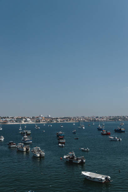 A peaceful scene of fishing boats floating in Cascais Bay, with the coastal town stretching out in the background. The boats, scattered across the serene waters, highlight the traditional maritime lifestyle of this beautiful Portuguese town.