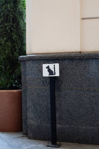 istock Post for tethering dog in front of entrance to building 2174886806