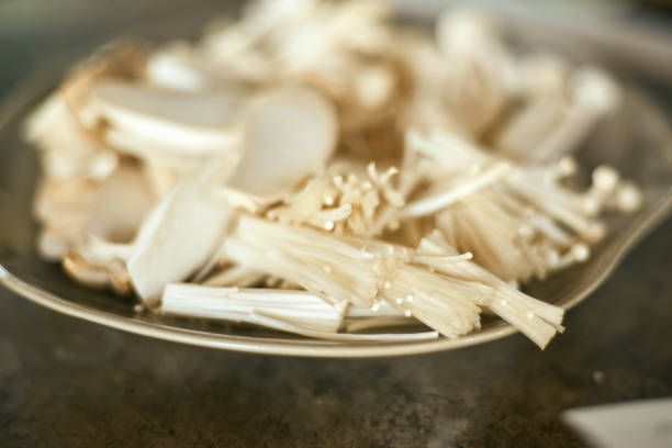 Assortment of various raw mushrooms, selective focus