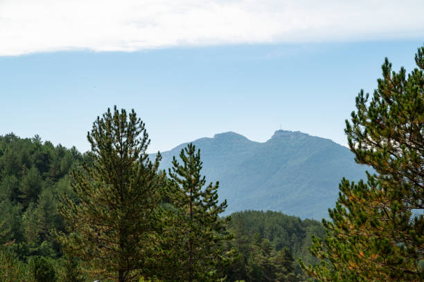 istock tranquil view on a mountain with trees and mountain in the background 2174902379