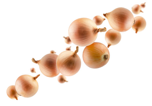 3d onion. Illustration of organic farm fresh vegetables. 3d rendering