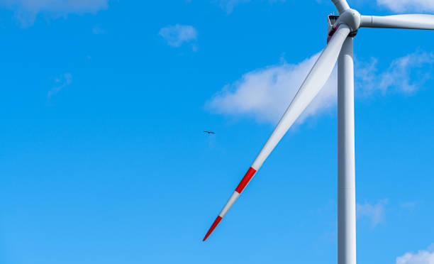 istock Close-up of windmill with eagle in the air 2174902904