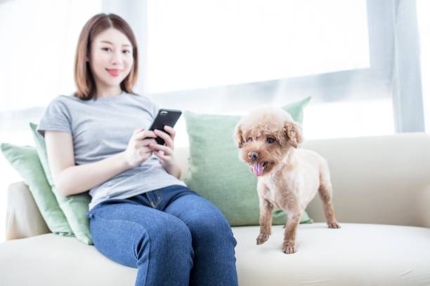 istock A woman is sitting on a couch with a dog 2174903136