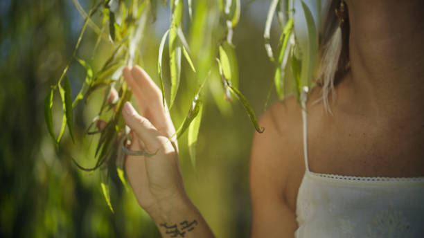 A gentle woman enjoys a peaceful moment outdoors, delicately touching the slender leaves of a willow tree, symbolizing a connection with nature.