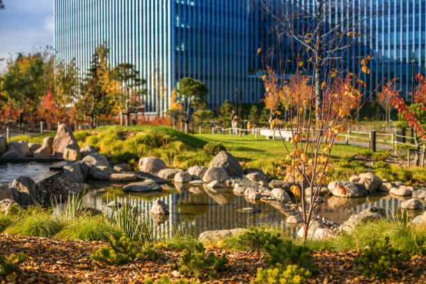 A tranquil urban park with a small pond surrounded by rocks and greenery, featuring trees with autumnal colors in the foreground and a tall building with reflective glass windows in the background. The integration of nature within an urban environment, showcasing a well-maintained park designed for relaxation.
