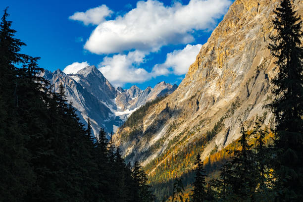 Majestic mountain peaks with snow and glaciers are towering above a valley of pine trees and larches with golden autumn foliage