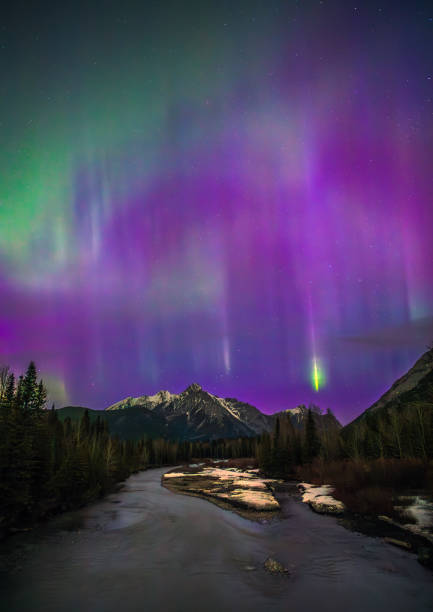 istock Aurora borealis painting purple sky above snowy mountain range 2174920158