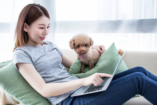 istock Dog Sitting Next To Owner Using Laptop 2174920312