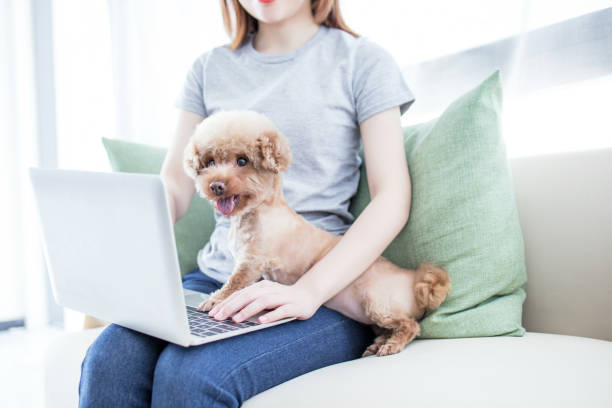 istock Dog Sitting Next To Owner Using Laptop 2174920756