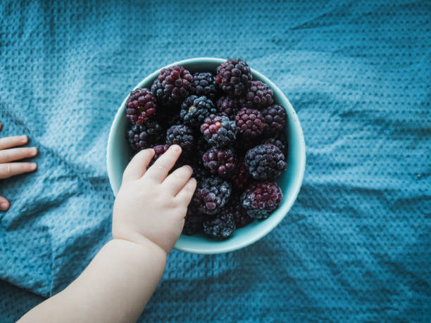 Woman is holding handfuls of fresh blackberries with fresh green leaves