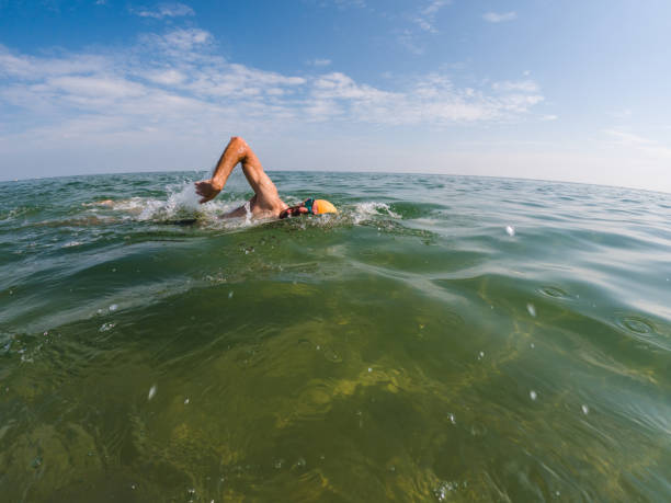 istock Athletic man swimming front crawl in open sea waters on sunny day 2174924309