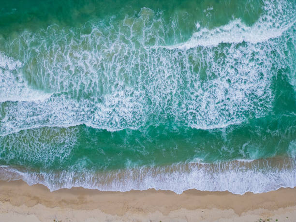 istock Gentle waves lapping against a sandy beach under bright sunlight in a coastal paradise during midday, creating a serene atmosphere 2174924944