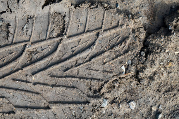 istock Tire Track Imprint in Muddy Ground 2174937983