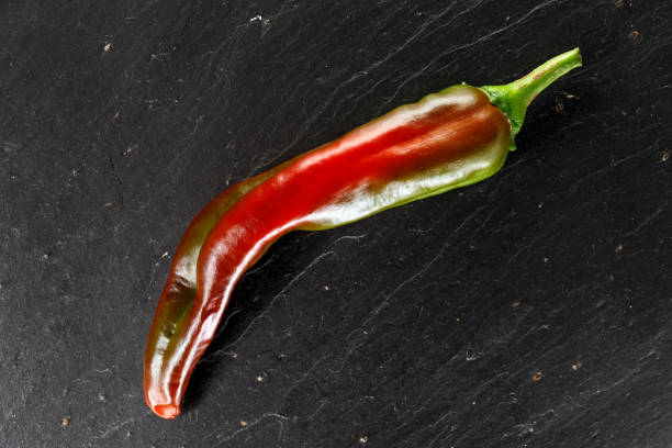 single red ripening anaheim chili pepper on black slate background.
