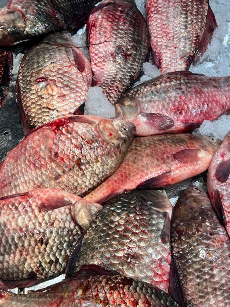 istock Raw fish for sale 2174985163